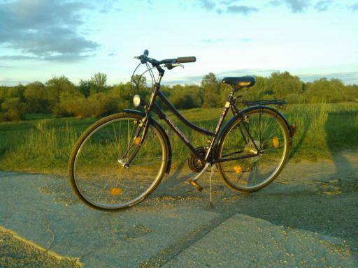 Rowerki do wypożyczenia