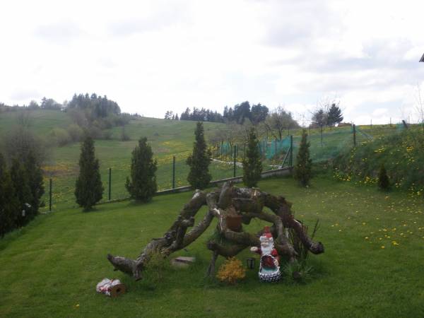 okolice i pobliski las 400metrów