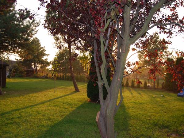 Kempińska Maria Gospodarstwo Agroturystyczne