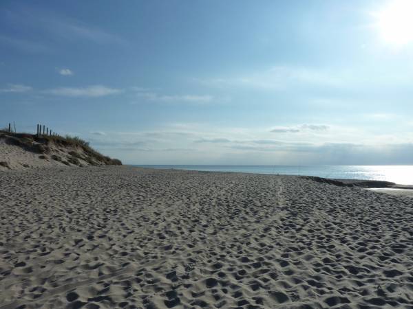 Domki Letniskowe Przylesie