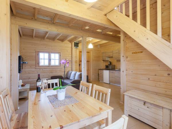 Domki Letniskowe Albatros