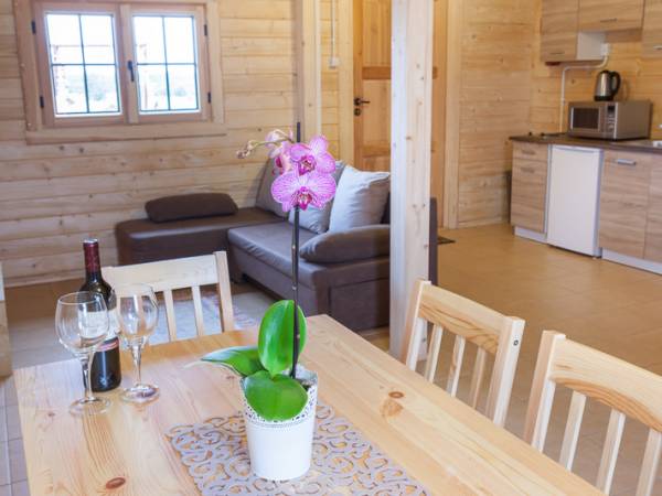 Domki Letniskowe Albatros