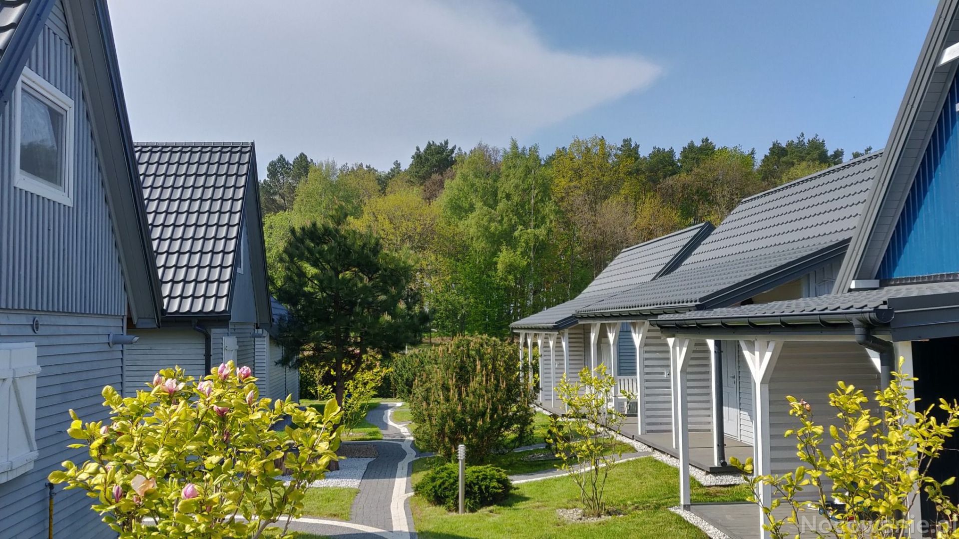 Domki letniskowe MAGNOLIA