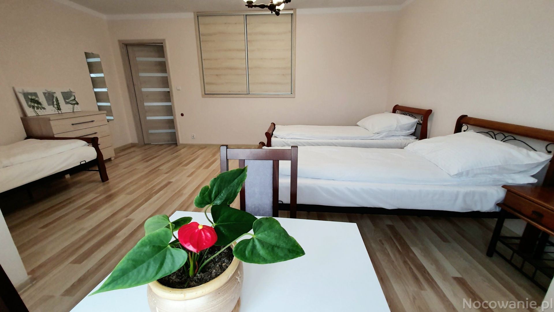 Noclegi pod Magnolią