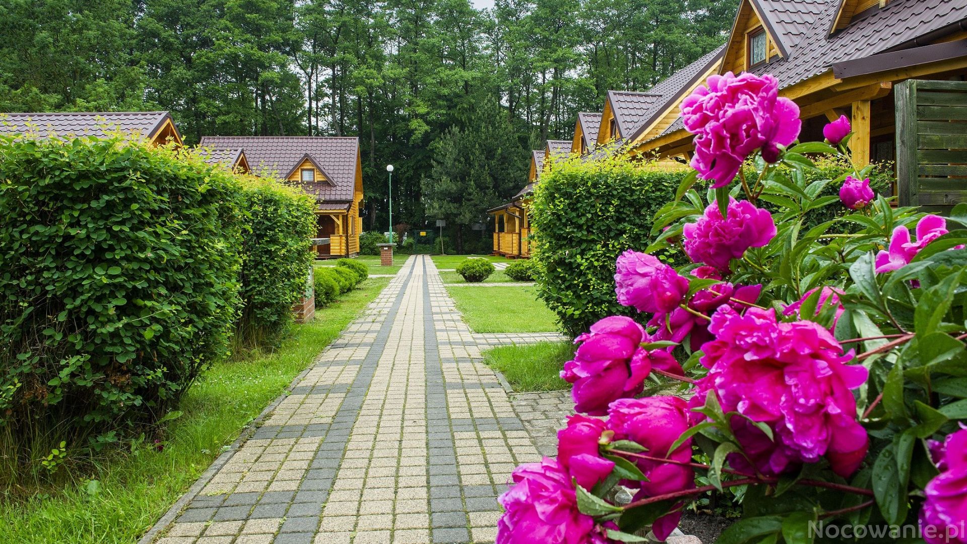 Ośrodek Wypoczynkowy Posnania - Butrans