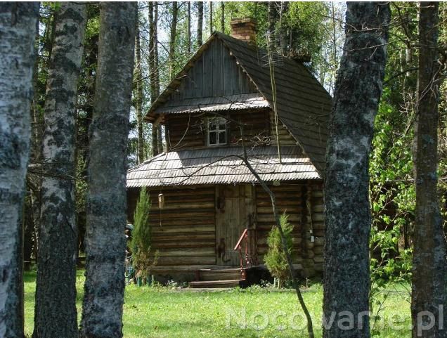 131-bialowieza-chatka-w-lesie.jpg