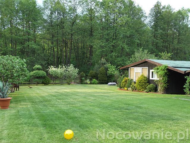 Domki Letniskowe TANIO