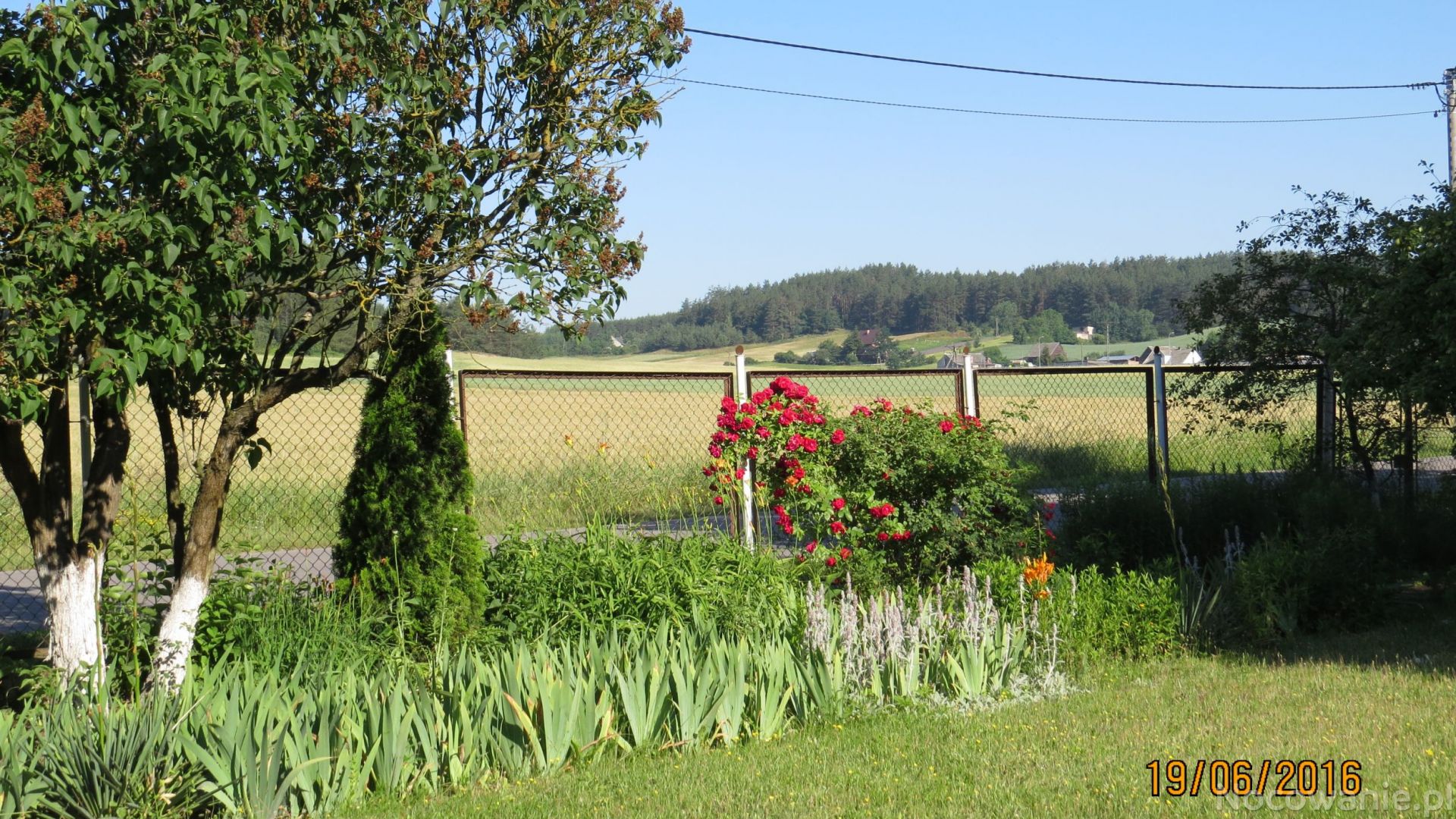 Agroturystyka u Danusi