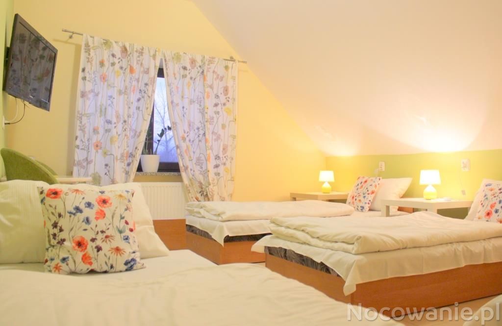 Pokoje Gościnne U Kovi Legnica Pokoje Gościnne U Kovi W Legnicy