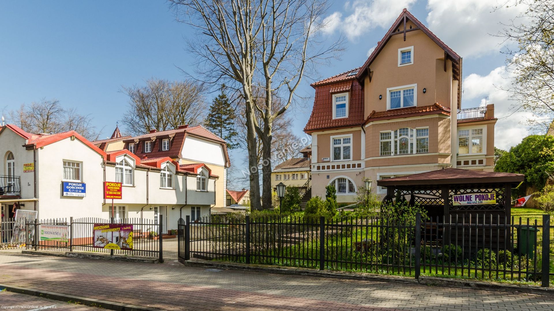 Pokoje i mieszkania pod Lwem