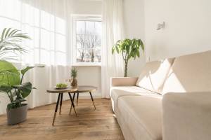  Kolorowe Pola Boutique