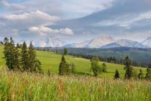 MC82 Anna i Marek Łukaszczyk