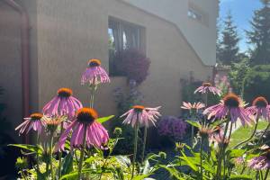 Pokoje Gościnne Wanda