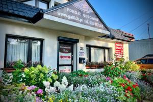 Pokoje Gościnne Gallick