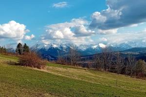 Pokoje Gościnne Rzepka 