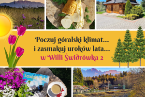 Willa Świdrówka 2