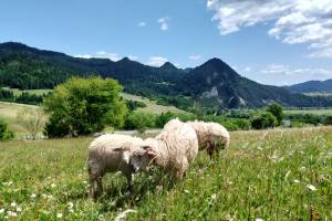 Agroturystyka Pod Zamczyskiem 