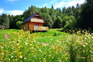 Domki w Bartnicy Góry Sowie