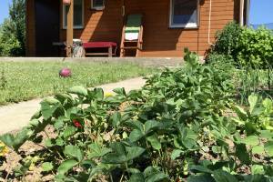 Domek i apartamenty w Mikołajkach