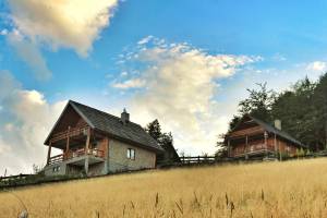 Domki u Johnnego na Obidzy