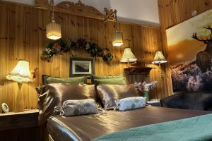 Apartamenty pod Wiciokrzewem