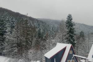 Leśny Zakątek - domek na prywatnej działce