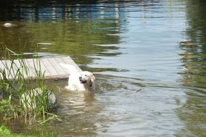 wypoczynek nad jeziorem Łaśmiady