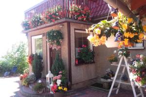 Agroturystyka Jaworowy Domek