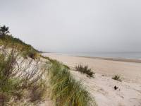 Plaża w Grzybowie