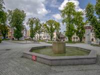 Rynek w Krasnymstawie