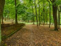 Park im. Gen. Władysława Sikorskiego