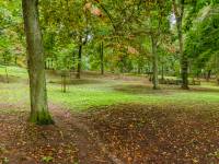 Park im. Gen. Władysława Sikorskiego