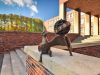 Mariany w Kołobrzegu