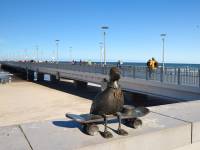 Mariany w Kołobrzegu