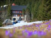 Dolina Chochołowska