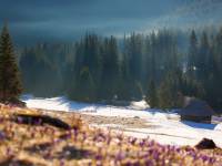 Dolina Chochołowska