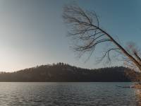 Rezerwat przyrody Zielone Skałki