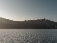 Rezerwat przyrody Zielone Skałki