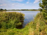 Zalew Brzózki-Biskupice