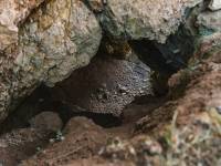 Jaskinia w Obłazowej