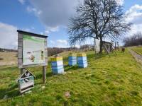 Park Owadów i Pajęczaków