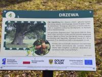 Park Miejski „Rusinowa” 