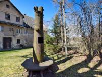 Żelazne drzewo - Lipa Fryderyka