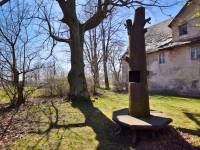 Żelazne drzewo - Lipa Fryderyka