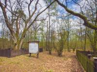 Święte Dęby w Lesie Kijowiec