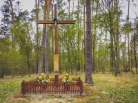 Święte Dęby w Lesie Kijowiec