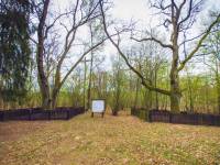 Święte Dęby w Lesie Kijowiec