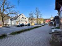 Pomnik Przyrody - Jesion Wyniosły