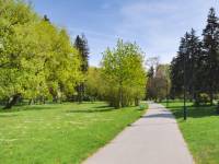 Park im. Henryka Jordana