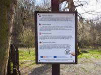 Tajemnicza Kapliczka w Pstrążnej